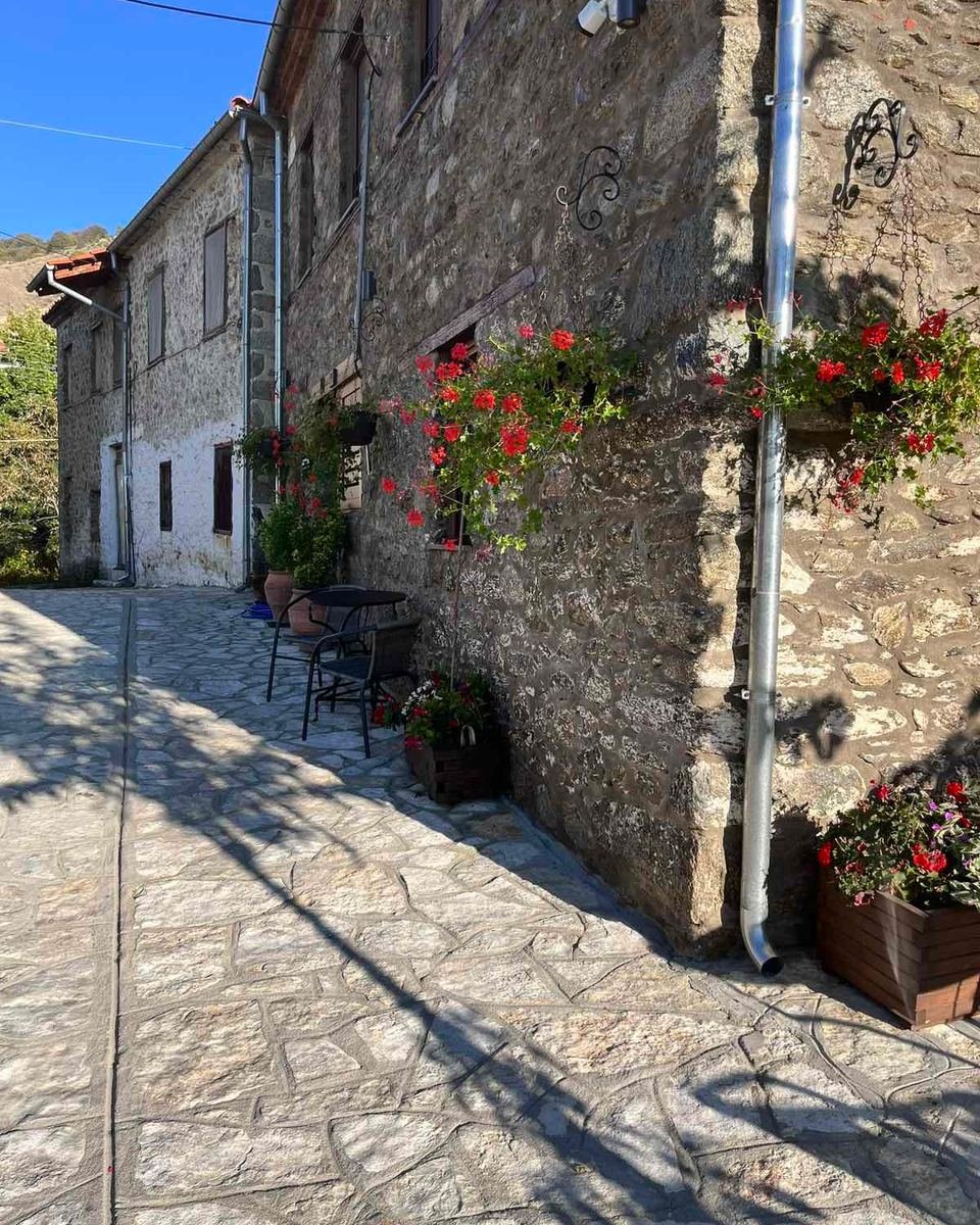 Paved lane with flowers along an old stone wall.